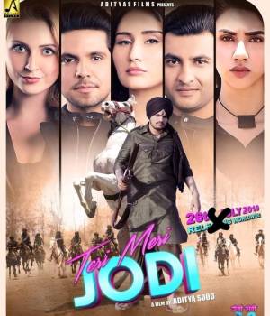 Teri Meri Jodi