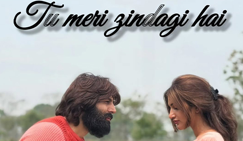 Tu Meri Zindagi Hai