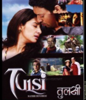 Tulsi