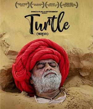 Turtle