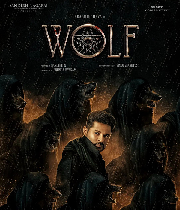 Wolf