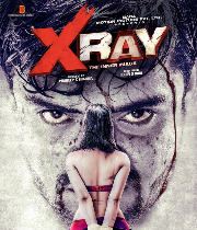 X Ray - The Inner Image