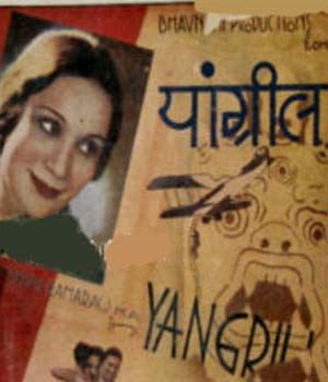 Yangrilla